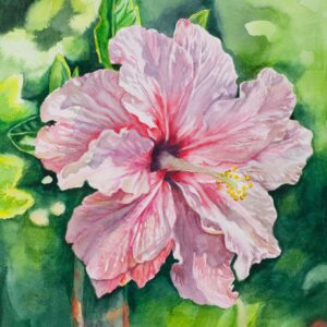 Pink Hibiscus Limited Edition
