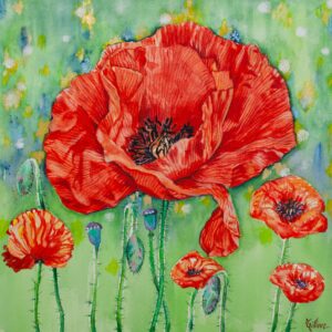 Red poppy