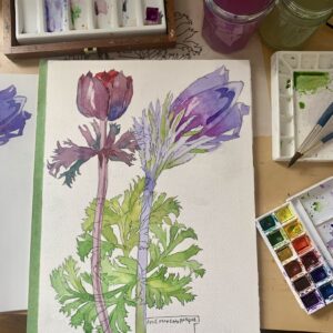 Charles Rennie Mackintosh watercolour flowers workshop